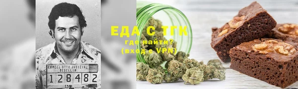 индика Алзамай