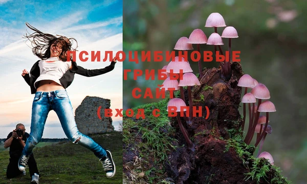 2c-b Абдулино