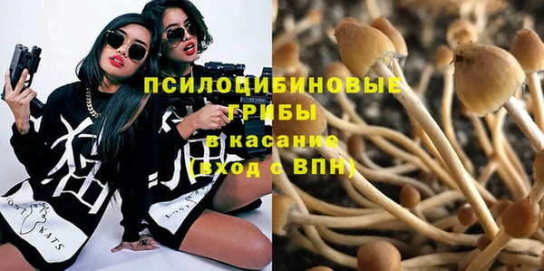 индика Алзамай