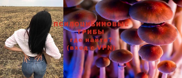 амфетамин Алексин