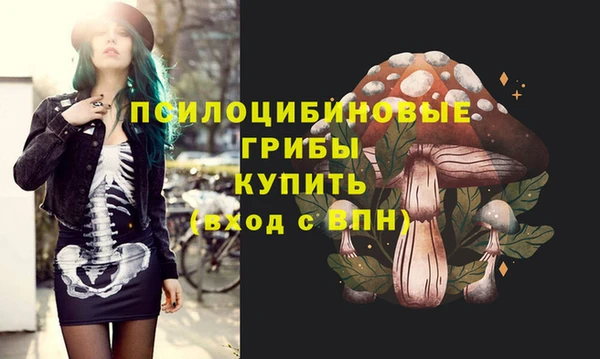 индика Алзамай