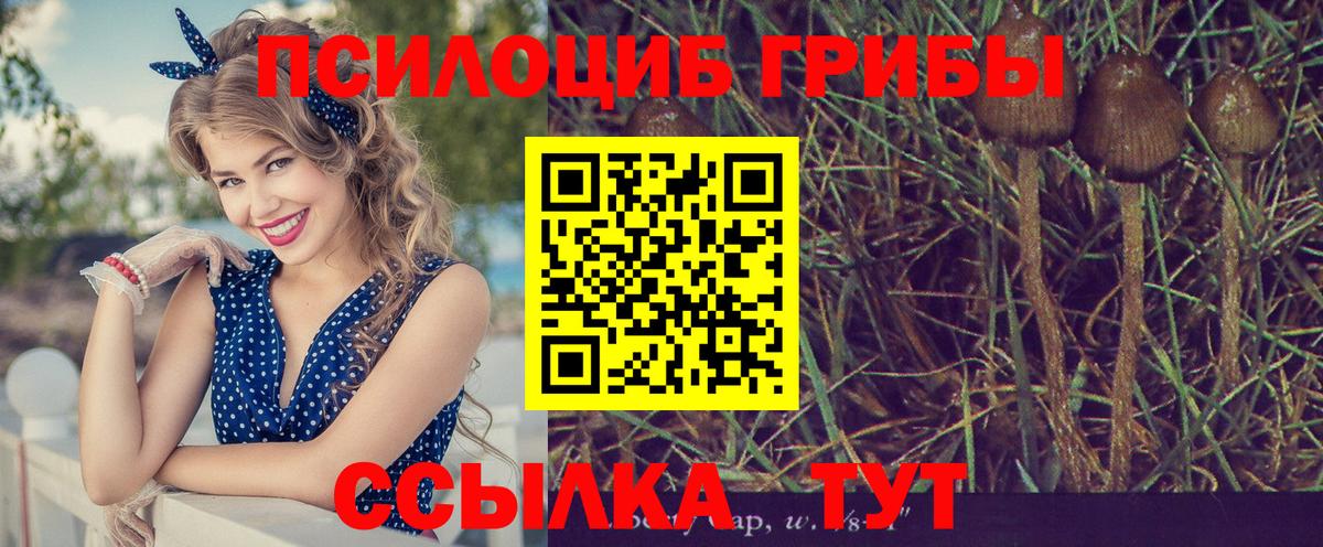 Псилоцибиновые грибы прущие грибы  Галлюциногенные грибы прущие грибы  Вход с VPN  Черемхово 