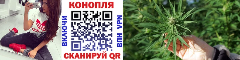 Конопля конопля  купить   гидра ссылки  Черемхово 